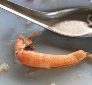 pincers of giant shrimp